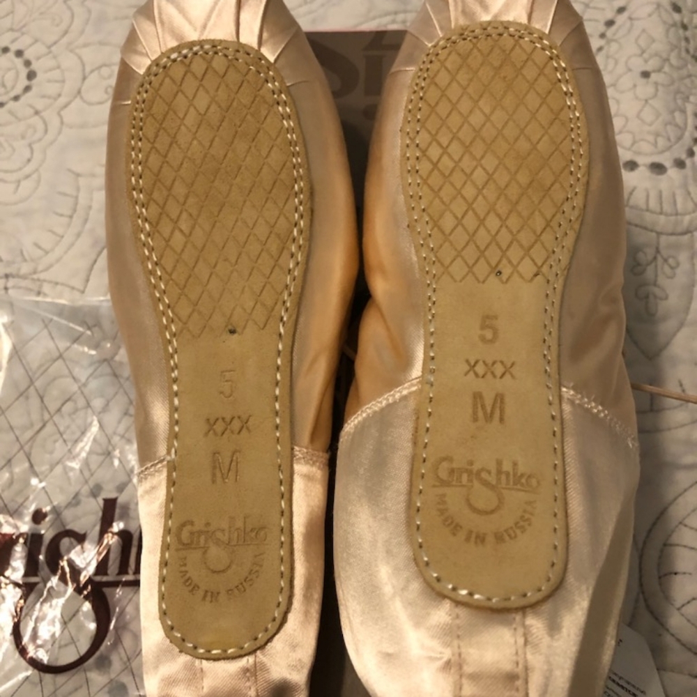 Pointe Shoes - image 1